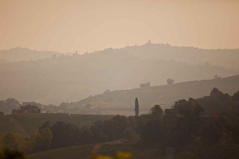 peace can be found in hills and trees.jpg